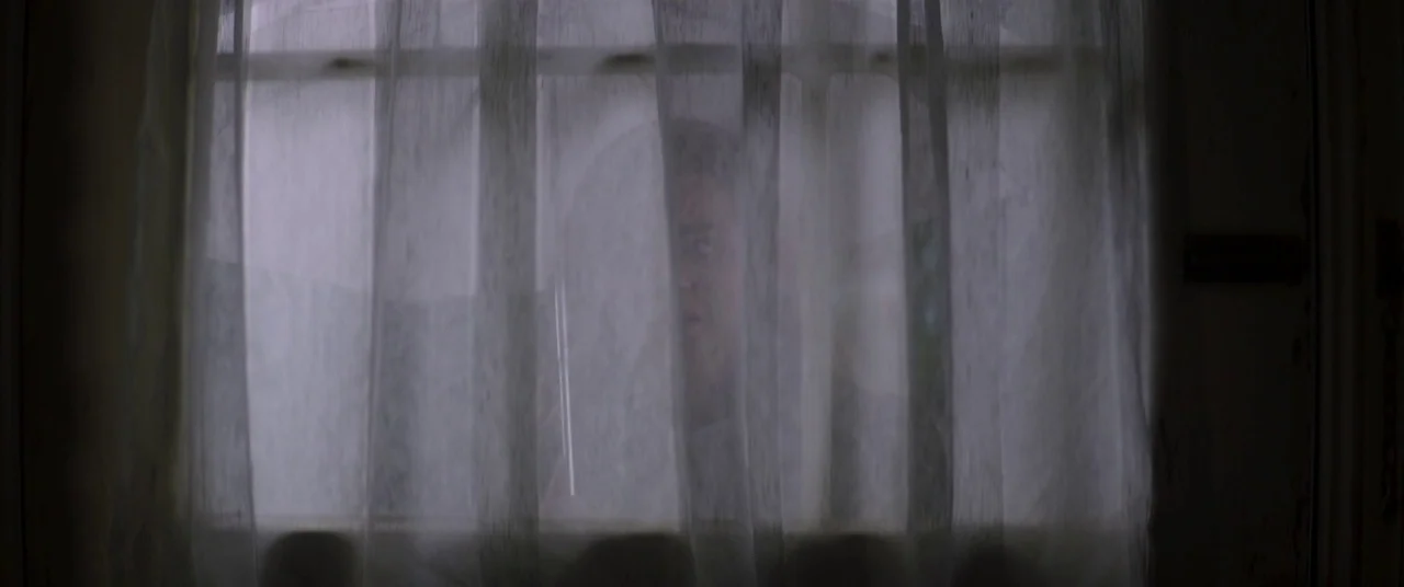 Greta movie still: closeup — A person is viewed from behind a sheer white curtain covering a glass door. The individual stares forward while…