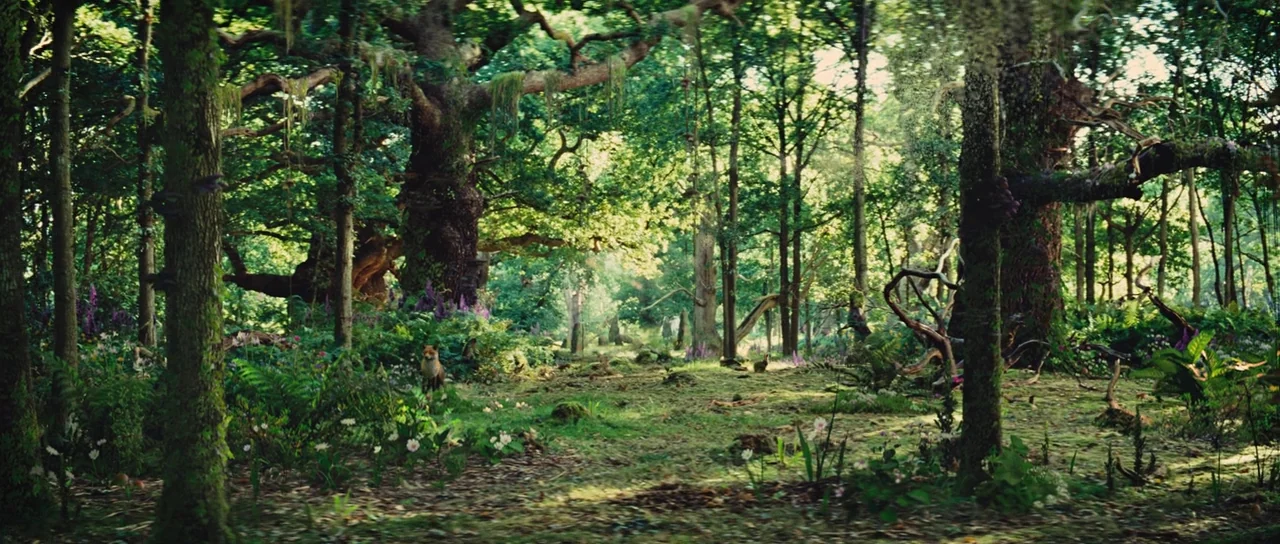 Snow White and The Huntsman (2012) movie still: wide — A dense woodland environment with large oak trees, mossy ground, and scattered wildflowers. A…