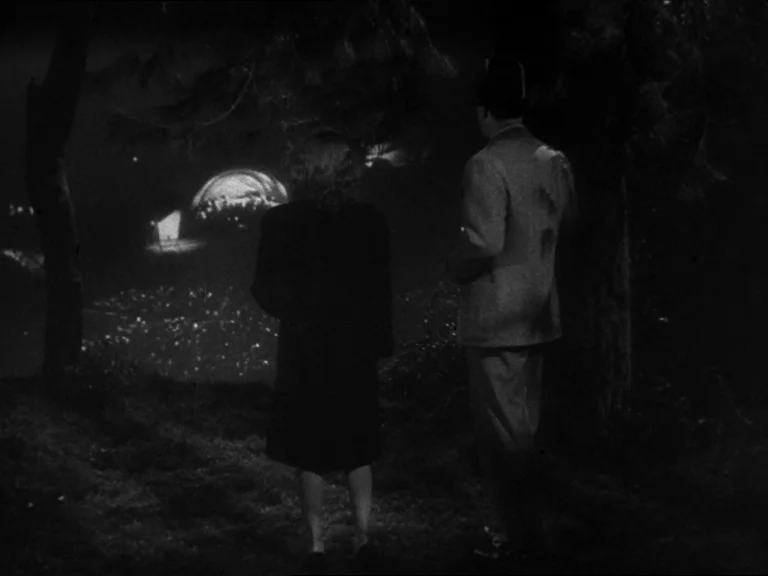 Double Indemnity (1944) movie still: fullbody — A man and a woman stand on a dark grassy hillside at night. They look down toward a distant valley…