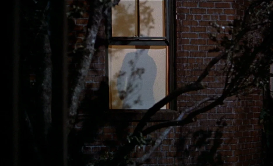 Rear Window (1954) movie still: medium — A dark brick building wall contains a single rectangular window lit from within. The shadow of a man is…