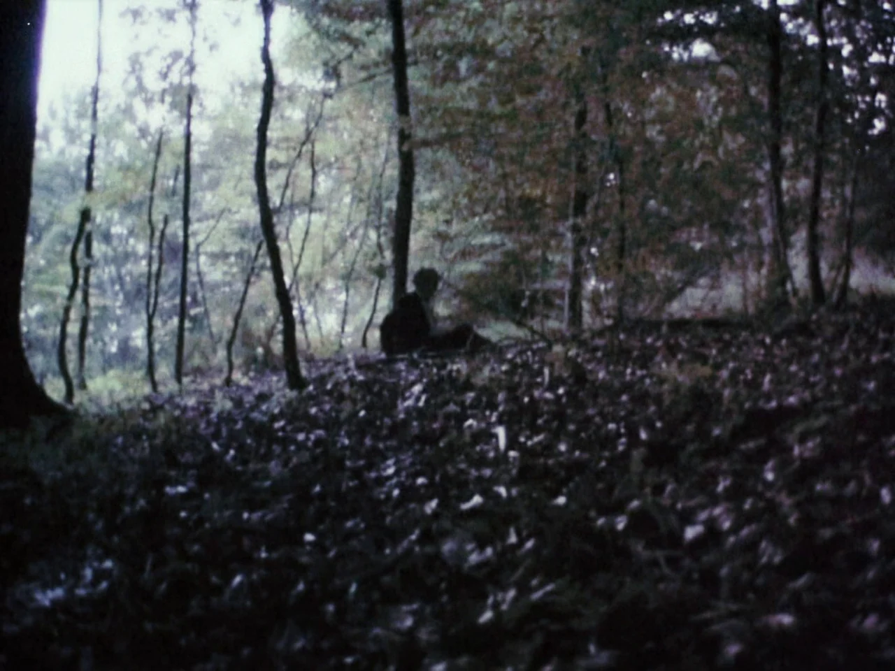 Festen (1998) movie still: wide — A dense forest floor covered in fallen leaves under a thick tree canopy. A small silhouette of a person sits on…
