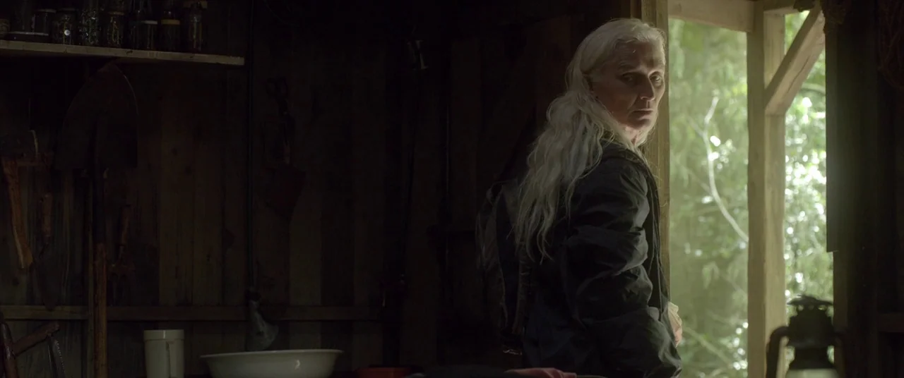 The Survivalist (2015) movie still: medium — A dark wooden shed interior is cluttered with gardening tools and supplies on shelves. An older woman…