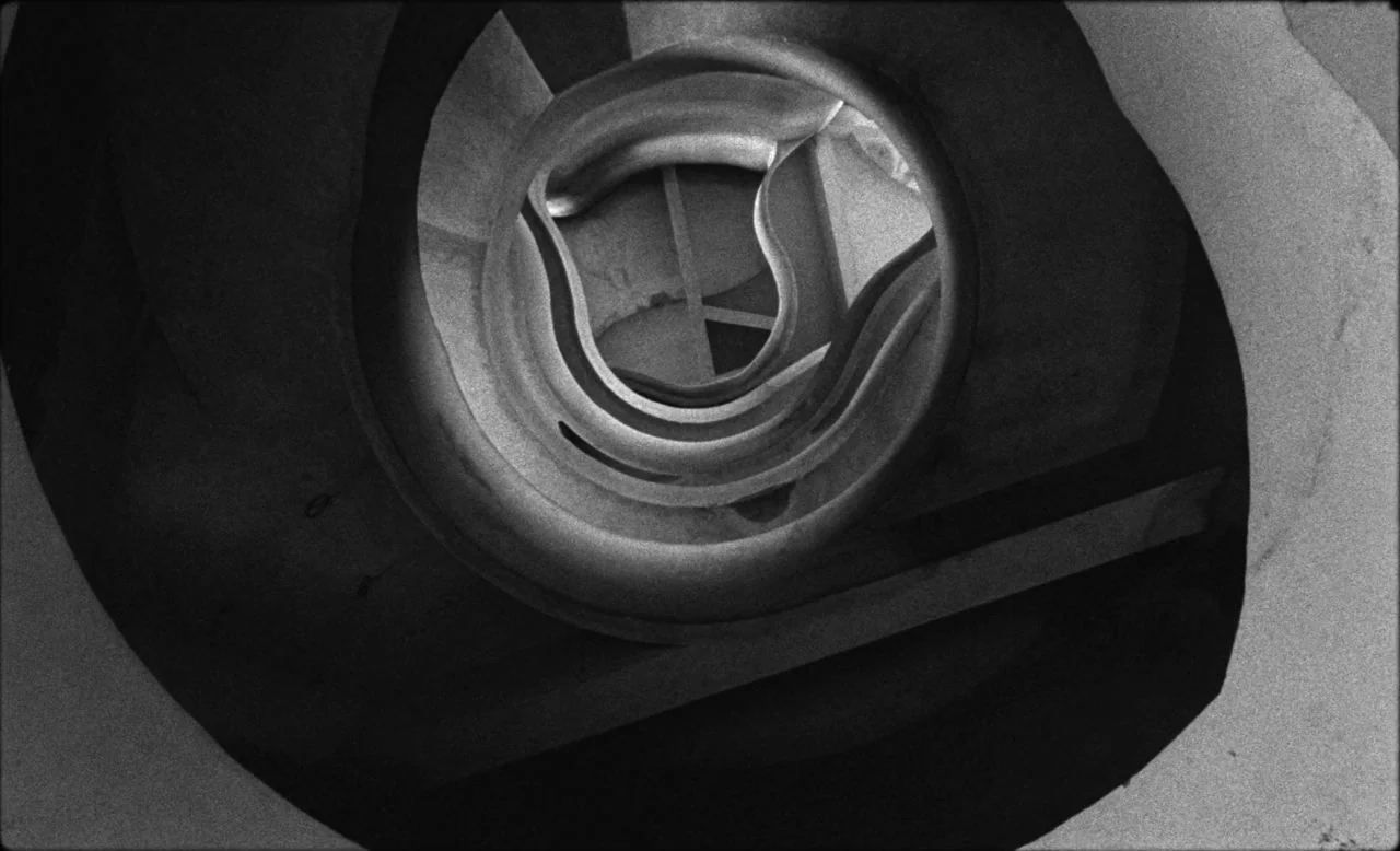Last and First Men (2020) movie still: establishing — A spiraling staircase viewed from directly above in a high-contrast architectural setting. The…