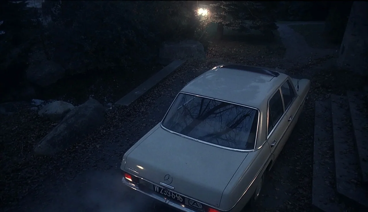 Angst (1983) movie still: wide — A light-colored vintage sedan is parked in a dark, leaf-covered driveway at night. Steam rises from the exhaust…