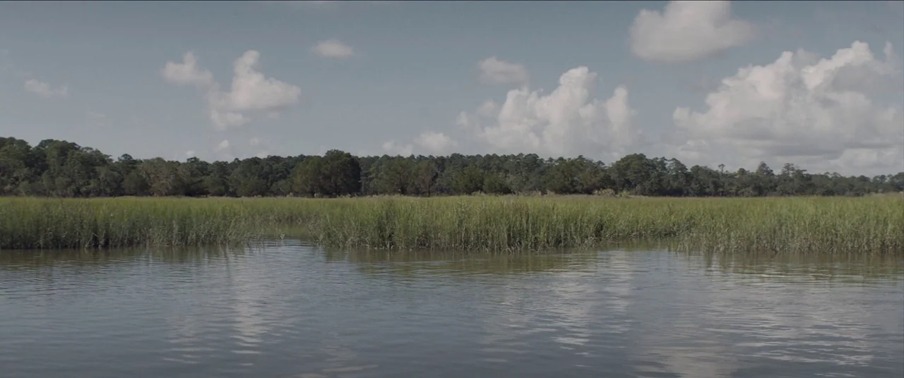 The Peanut Butter Falcon (2019) movie still: establishing — A wide salt marsh expanse stretches toward a dense treeline under a clouded sky. Calm…