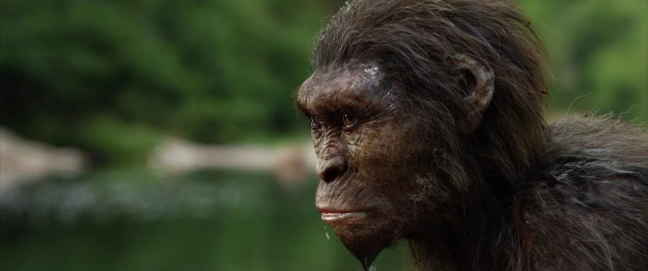 Lucy (2014) movie still: closeup — A hominid with dark fur stands by a blurred green riverbank during the daytime. The subject stares toward the…