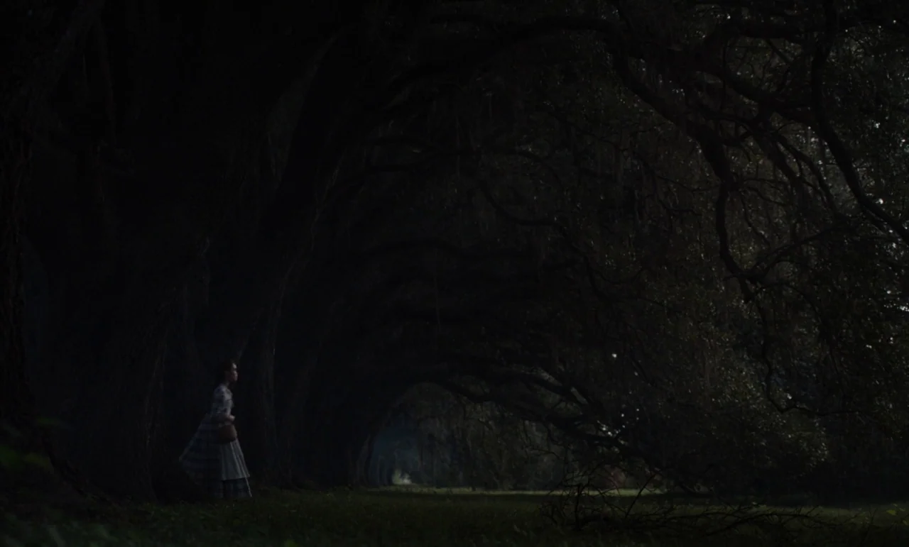 The Beguiled (2017) (2017) movie still: wide — A long, dark alley of massive, gnarled oak trees with heavy, interlocking branches. A young woman in…