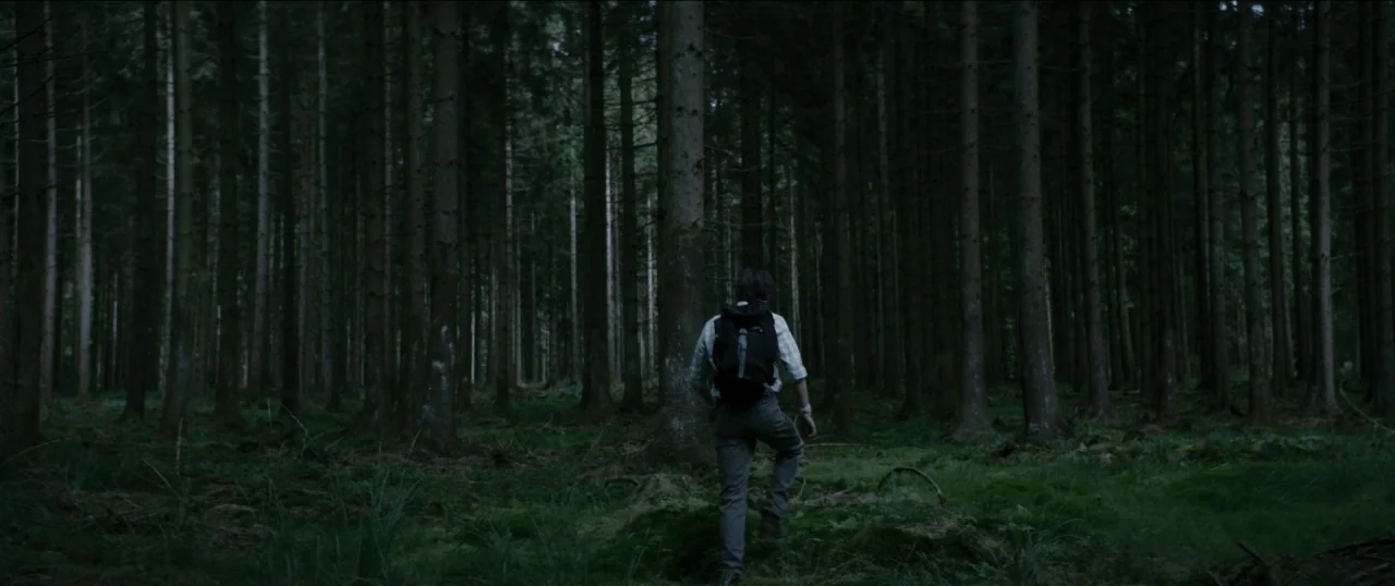 Good Favour (2017) movie still: fullbody — A dense stand of pine trees grows closely together on an uneven mossy floor. A man with a backpack walks…