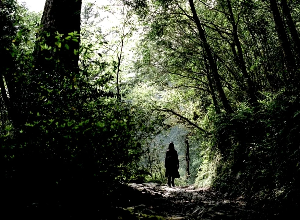 The Assassin (2015) movie still: wide — A narrow dirt path winds through a dense, lush green forest with tall trees. A lone person walks away from…