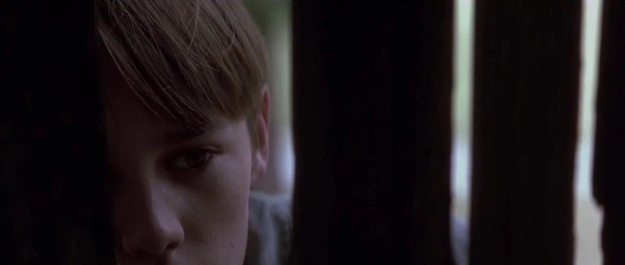Snow Falling on Cedars (1999) movie still: closeup — A close view of a teenager peering between the vertical slats of a wooden fence. The slats…