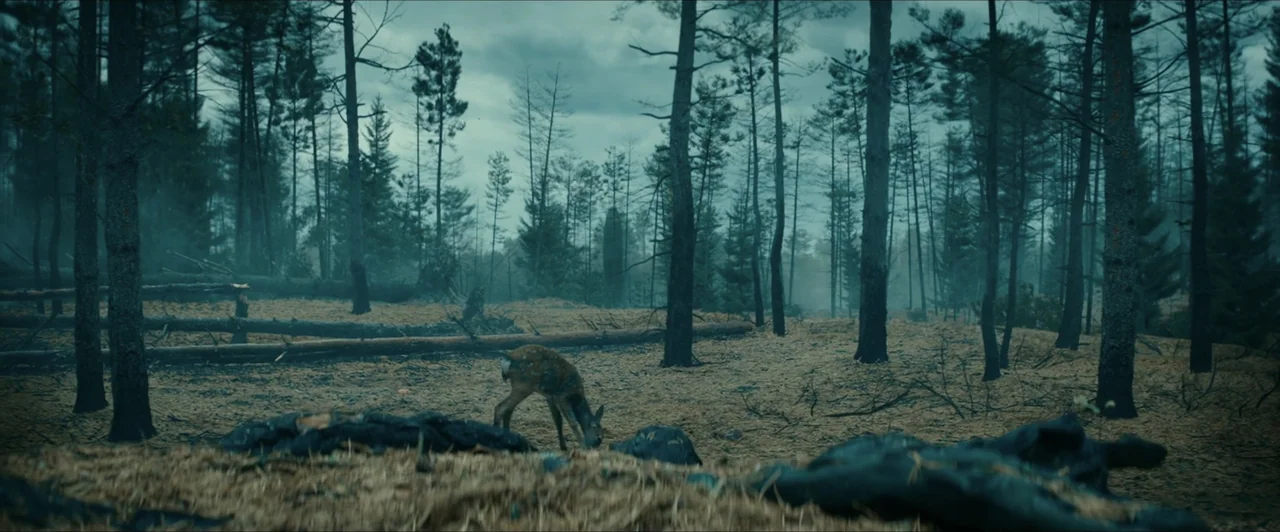 Invasion (2020) movie still: wide — An open expanse of forest floor is littered with burnt timber and blackened debris. A small deer stands in the…