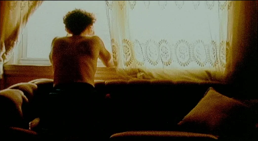 Julien Donkey Boy (1999) movie still: medium — A sunlit living room featuring a patterned couch near a window with light curtains. A shirtless young…