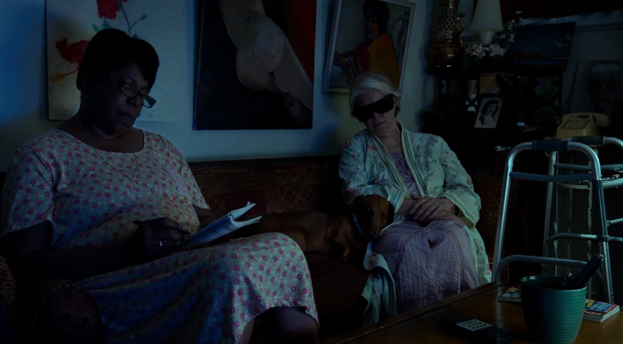 Wiener-Dog (2016) movie still: medium — A cluttered living room wall features framed paintings above a dark patterned sofa. An elderly woman and her…