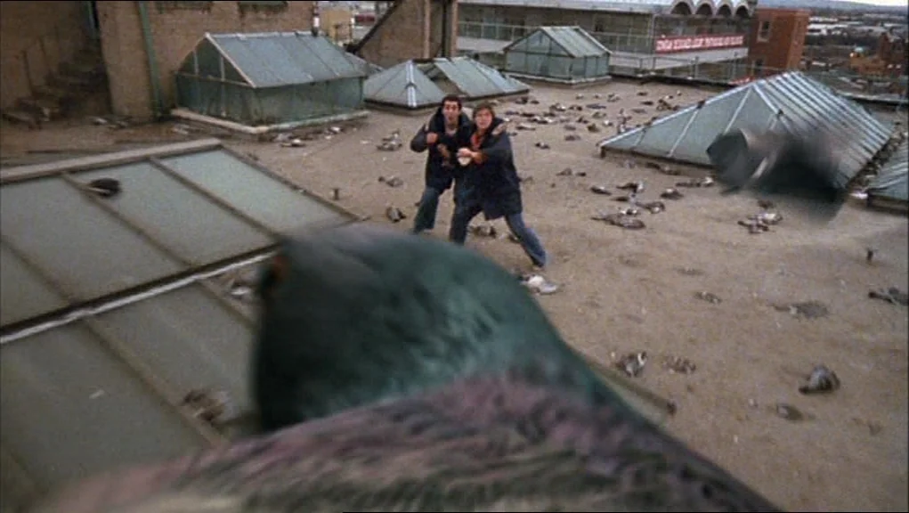 24 Hour Party People movie still: wide — A flat rooftop covered in gravel features several glass skylights and scattered pigeons. Two men stand in…