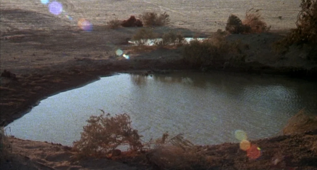 Melvin & Howard (1980) movie still: establishing — A remote desert oasis features a small, murky pool of standing water. Sparse shrubs and patches…