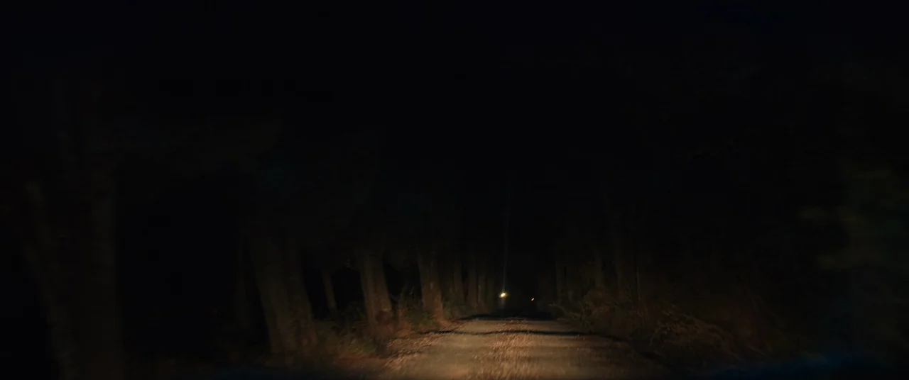 Speak No Evil (2022) movie still: establishing — A dark, unpaved rural road is flanked by tall, shadowy trees at night. The road extends into the…