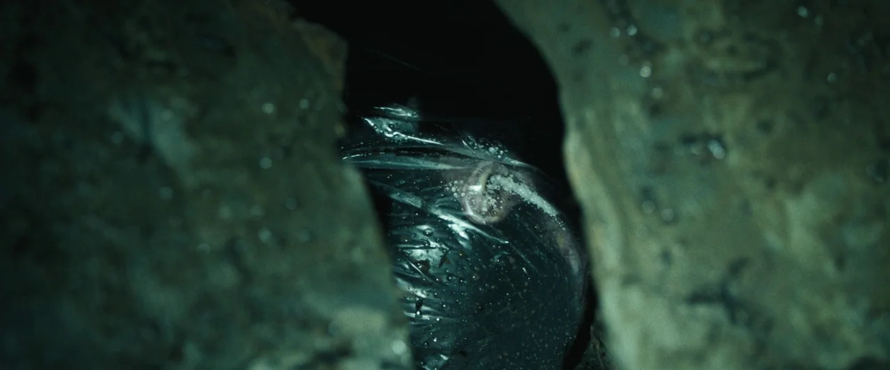 The Night House (2020) movie still: closeup — A plastic bag containing unidentified contents sits wedged between two damp, dark rock surfaces.…
