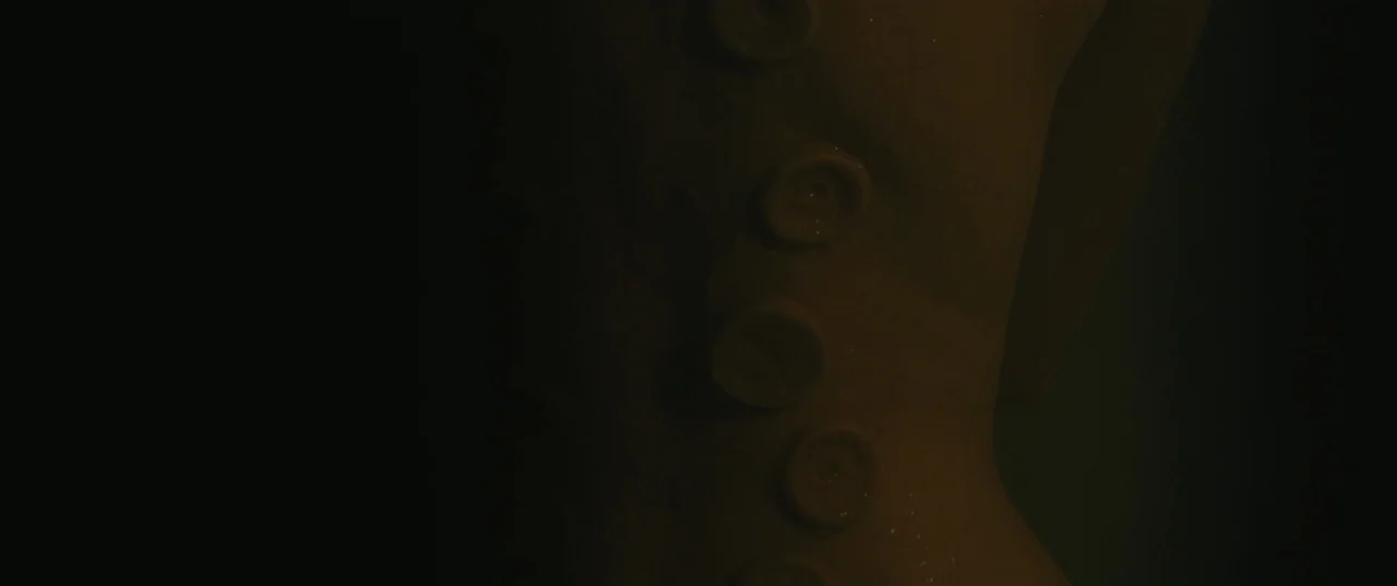Evolution (2015) movie still: closeup — A close-up view of a pale, smooth torso with a series of circular protrusions. The subject is partially…