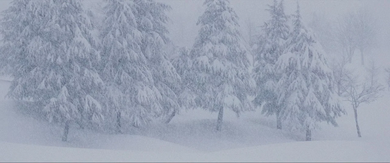 The World of Kanako (2014) movie still: establishing — A cluster of evergreen trees is covered in a thick layer of snow. Heavy snow falls throughout…