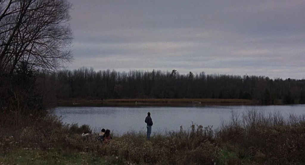 Lars And The Real Girl (2007) movie still: wide — An overcast day at a lake bank with dry autumn vegetation and bare trees. A person stands facing…