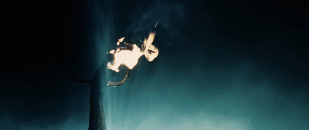 Centurion (2010) movie still: closeup — A wooden torch burns with a bright flame in a dark, hazy night environment. The flame illuminates the…