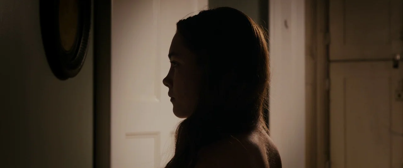 Lady Macbeth (2016) movie still: closeup — A dimly lit interior hallway features a white door and a framed picture. A woman stands in profile…