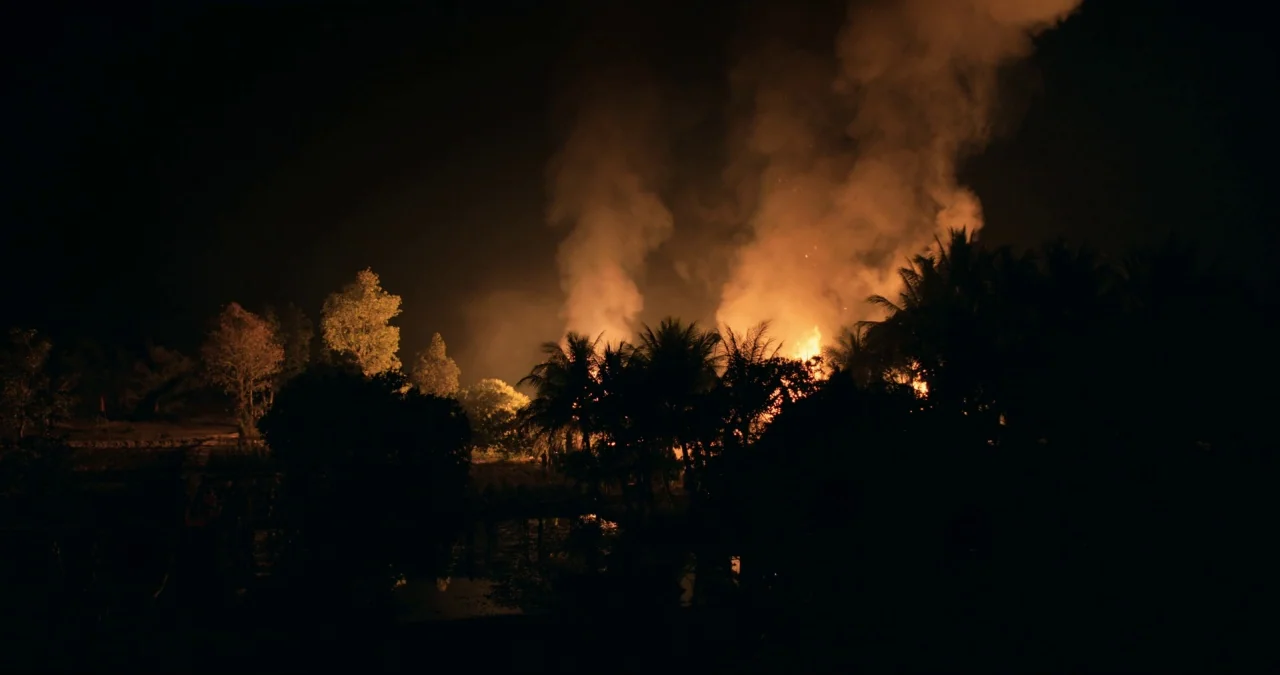 First They Killed My Father (2017) movie still: wide — A dark, nocturnal rural landscape with silhouetted trees and palm fronds. An intense fire…