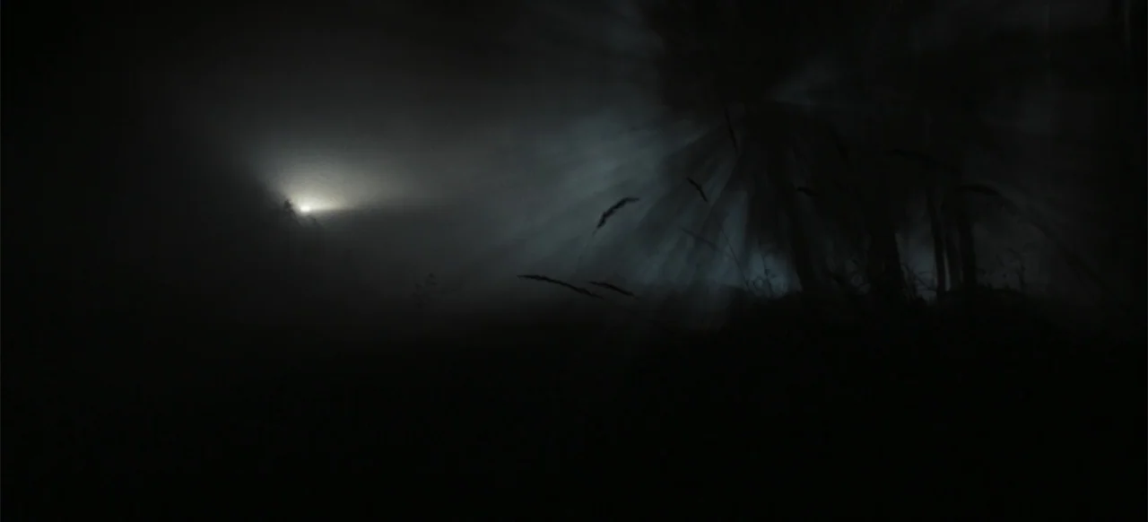 The Tank (2025) movie still: establishing — A dense foggy field is illuminated by a distant horizontal beam of white light. Silhouetted tall grasses…