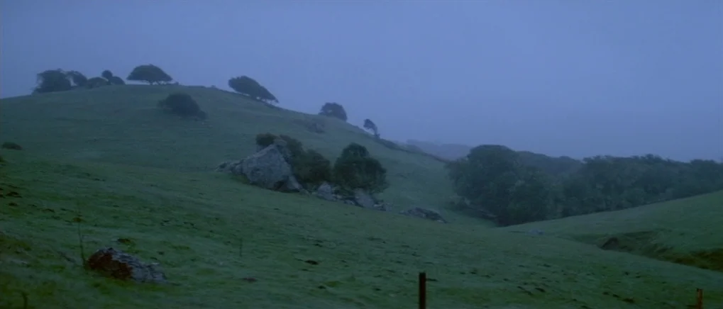 The Fog (1980) movie still: establishing — A vast, rolling green hillside with sparse trees and large rocks under a sky. Dense fog drifts across the…