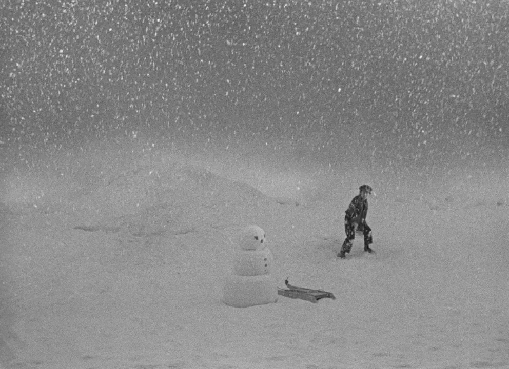 Citizen Kane (1941) movie still: wide — A vast, snowy landscape during a night snowstorm with heavy precipitation visible in air. A solitary child…