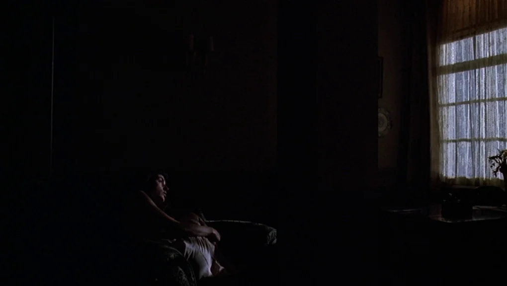Bird (1988) movie still: medium — A dark, sparsely furnished room is dominated by heavy shadows and a single window. A solitary person sits on an…
