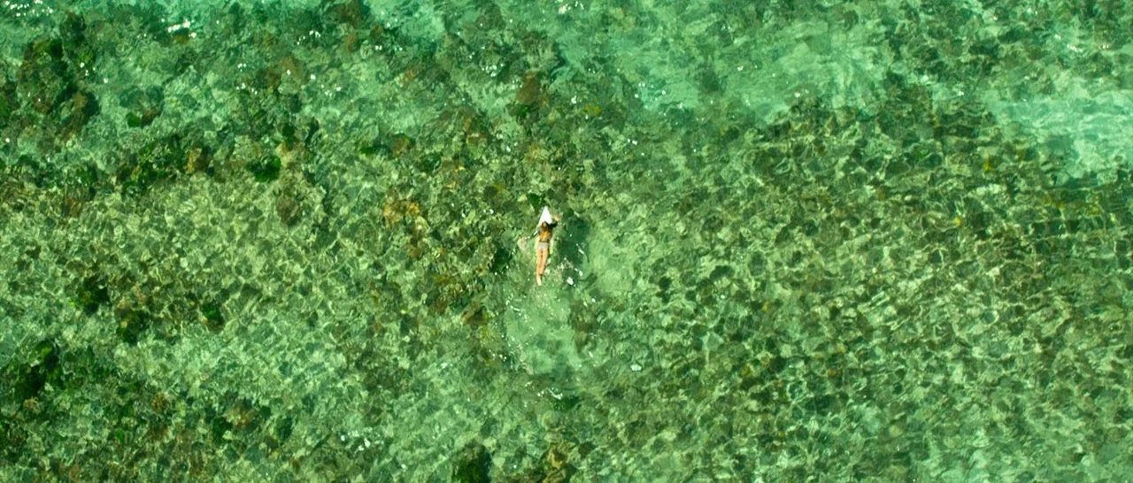 The Shallows (2016) movie still: wide — A top-down view of a surfer paddling through shallow, translucent tropical water. A rocky, moss-covered…