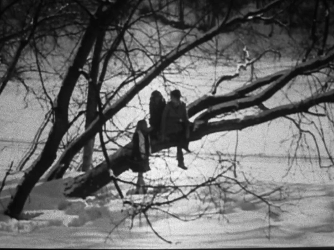 My Winnipeg (2007) movie still: wide — A snowy outdoor landscape with bare branches dominating the upper and foreground portions. Three individuals…
