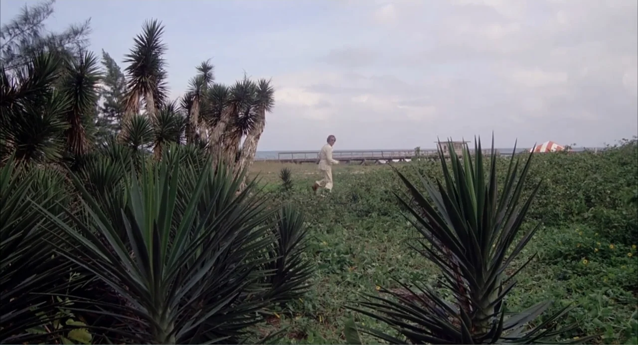 Empire of the Ants (1977) movie still: wide — A coastal area features dense green shrubs and a wooden pier in the distance. A man wearing a…