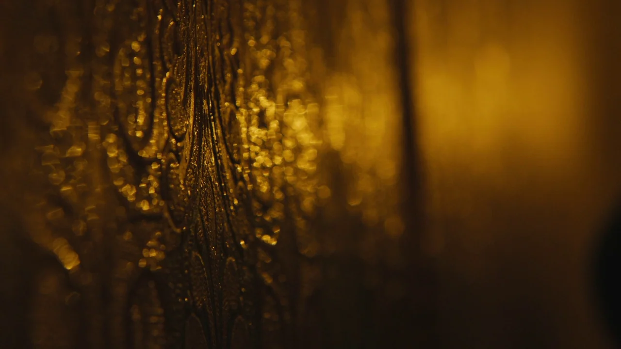 Lover’s Rock (2020) movie still: closeup — A close-up view of an intricate, embossed metallic surface with repeating curved patterns. The focus is…