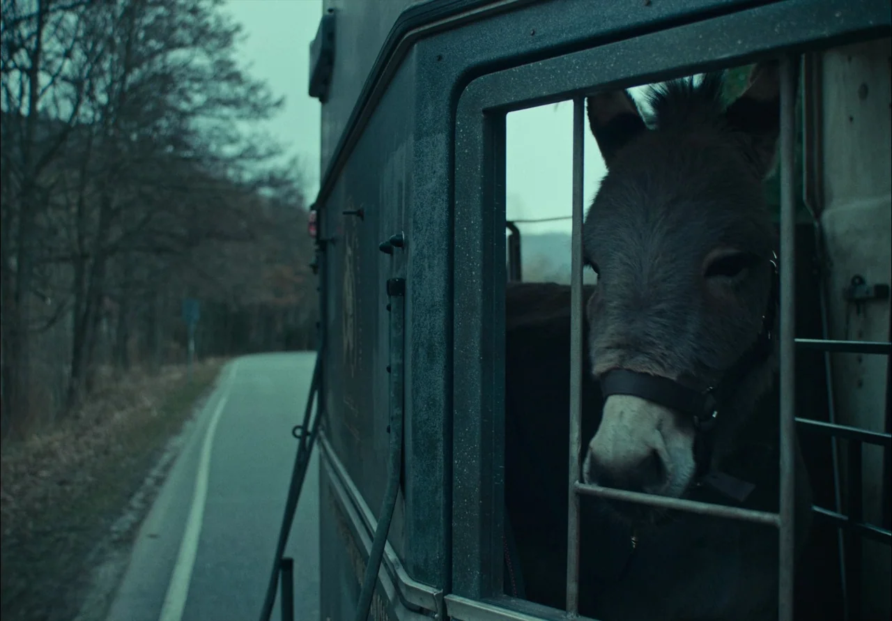 EO (2022) movie still: medium — A donkey stands inside a dark metal animal trailer with metal bars on the window. The trailer travels along a paved…