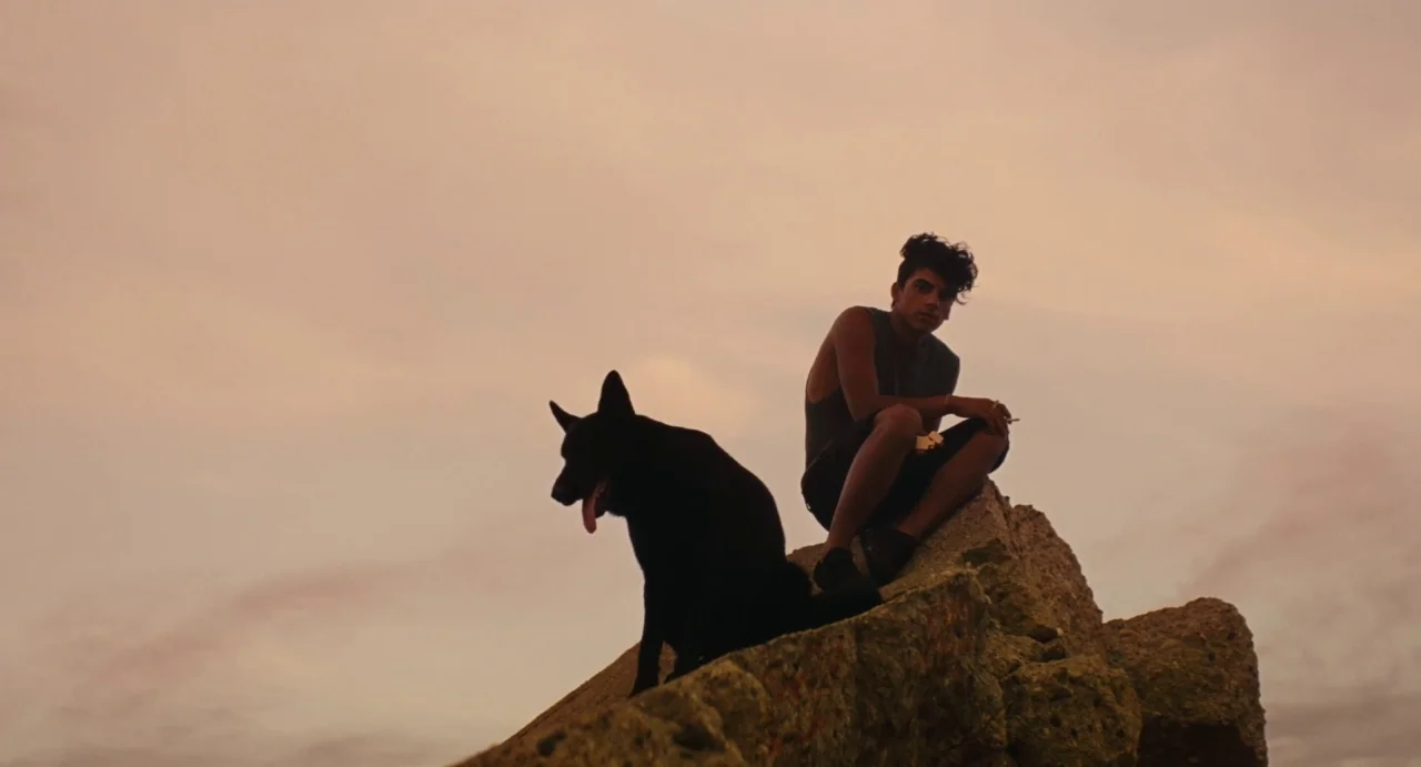 Ava (2017) movie still: medium — A rocky outcrop rises against a vast, hazy sunset sky in hues of peach. A young man and a large black dog sit…