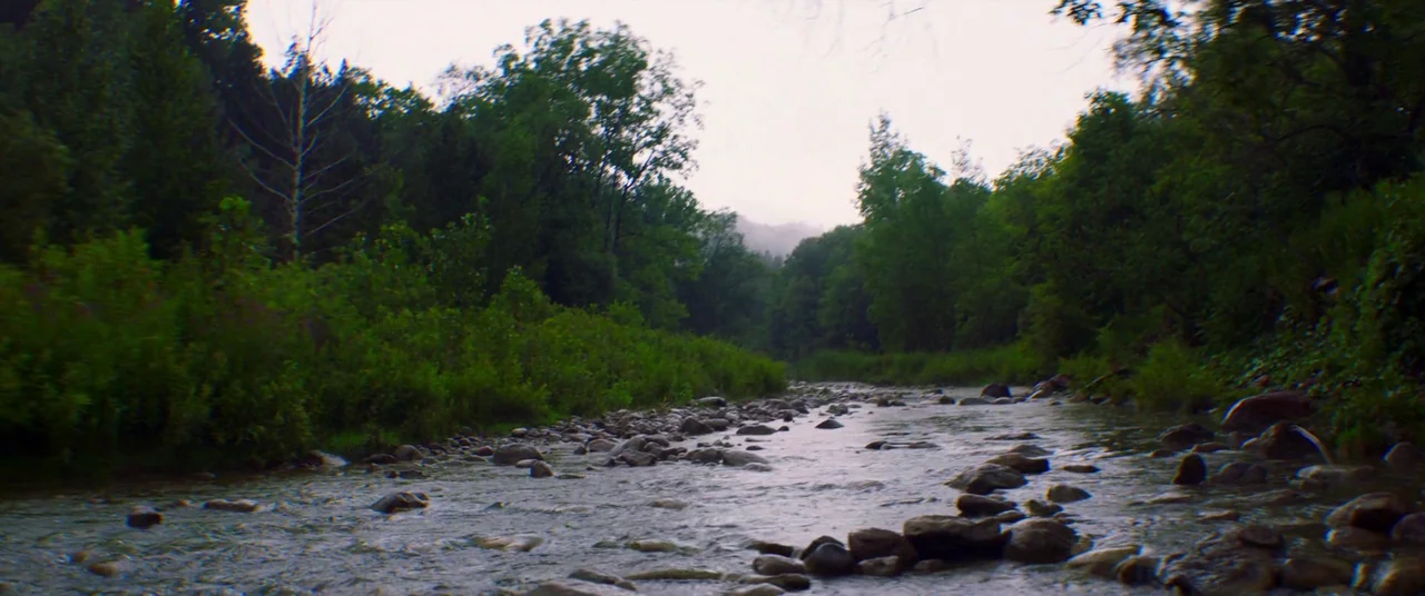 Falling (2020) movie still: establishing — A shallow river flows through a dense forest with rocks visible beneath the surface. Thick green…