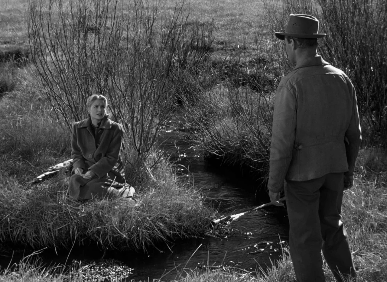 Out of the Past (1947) movie still: fullbody — A grassy meadow features a narrow stream winding through dry, brushy vegetation. A man in a hat faces…