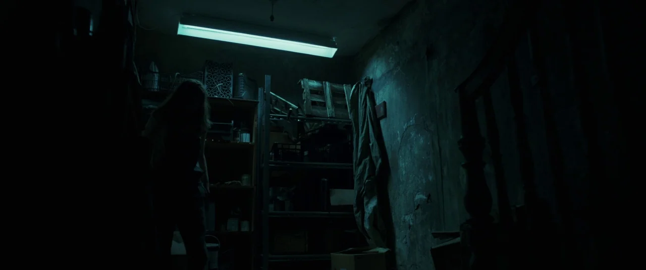 The Hole in the Ground (2019) movie still: medium — A cluttered dark storage area contains metal shelving units holding various crates and boxes. A…