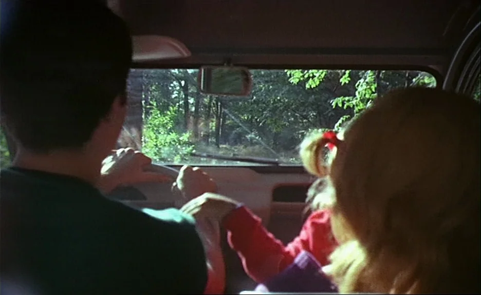 Le Bonheur (Happiness) (1965) movie still: medium — The interior of a car during the daytime with foliage visible through the windshield. A man…