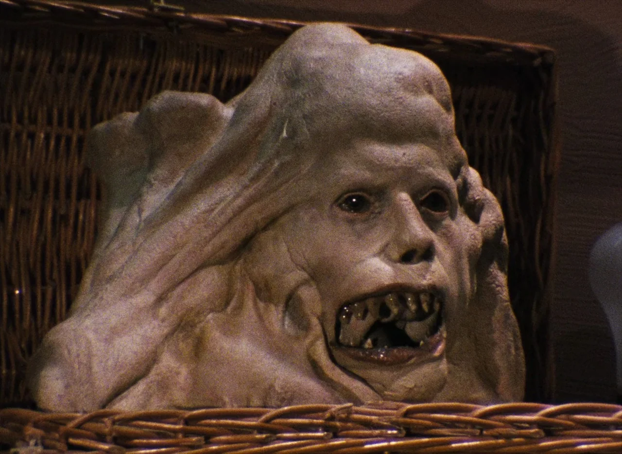 Basket Case (1982) movie still: closeup — A pale, textured creature with a distorted face sits inside a woven wicker basket. The object features…
