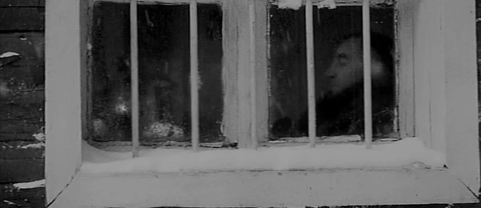 Shoot The Piano Player (Tirez Sur Le Pianiste) (1960) movie still: medium — A wooden window frame with vertical iron bars is covered in snow. A man…