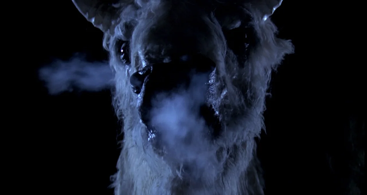 The White Buffalo (1977) movie still: closeup — A close-up shot focuses on the head of a llama against a black background. The animal exhales thick…