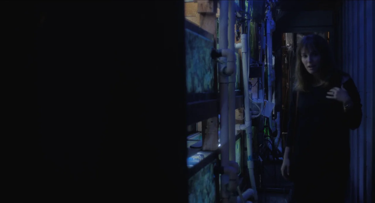 May December (2023) movie still: medium — An interior space contains vertical metal shelving units stacked with illuminated glass fish tanks. A…