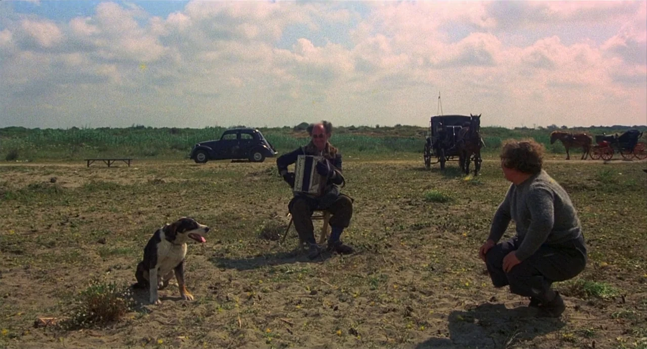 Amarcord (1973) movie still: wide — An open, sparse field under a bright, cloudy sky with sparse vegetation and dirt. A man plays an accordion while…