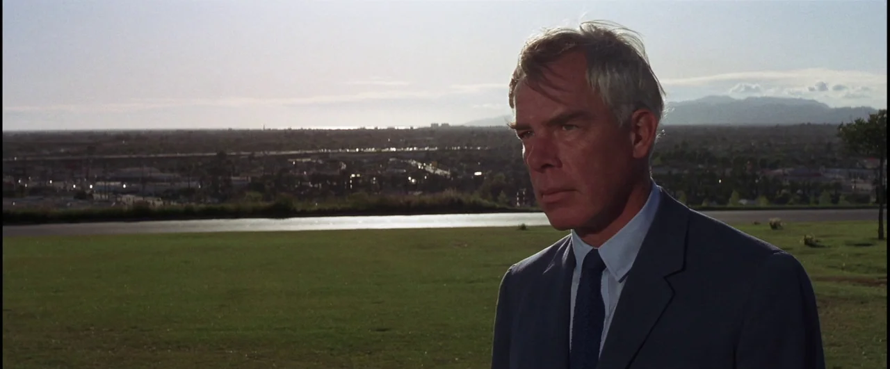 Point Blank (1967) movie still: medium — A man stands in an open, grassy park overlooking a distant sprawling city horizon. The subject gazes…
