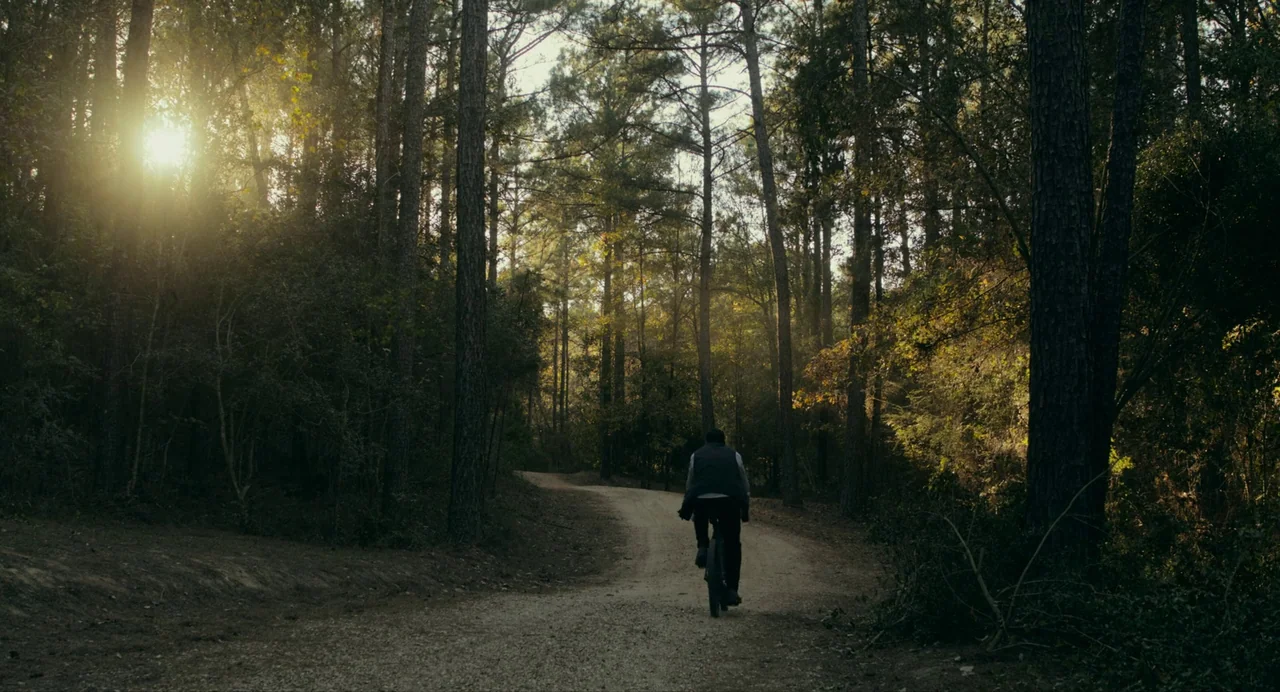 Deep Water (2022) movie still: wide — A narrow dirt path winds through a dense woodland with tall, slender pine trees. A lone cyclist rides away…