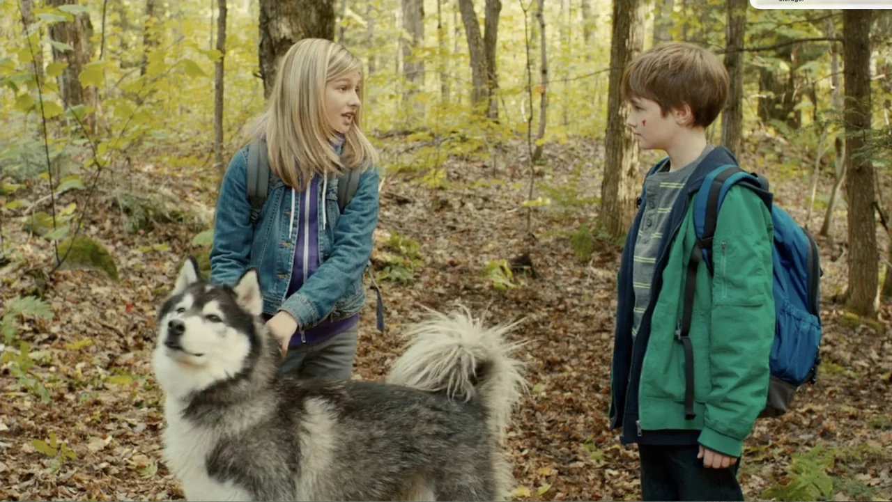 National Parks Adventure (2016) movie still: medium — A dense autumn forest with fallen leaves covering the ground among tall trees. A young girl in…