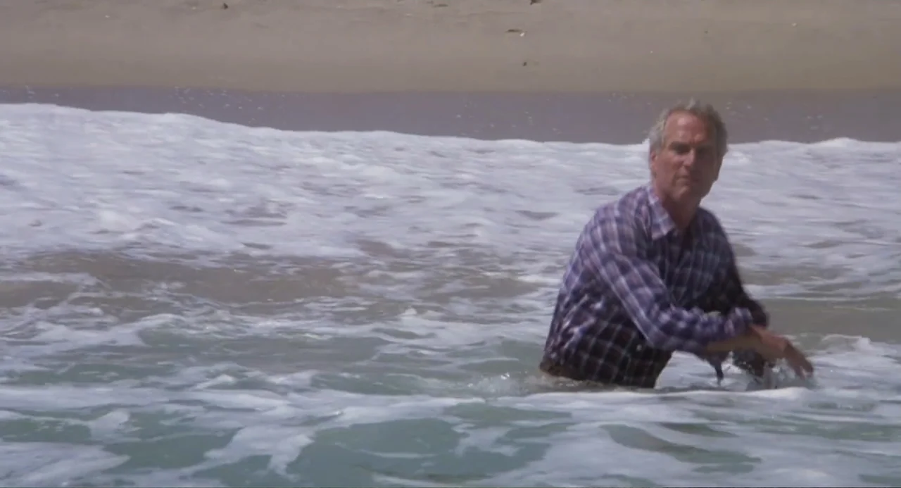Harry and the Butler (1961) movie still: medium — A sunny beach with light surf rolling onto the tan sand. An older man in a plaid shirt stands in…